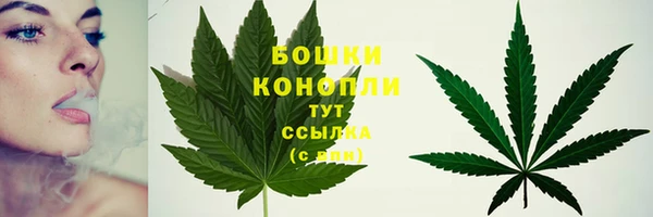 тгк Дубна