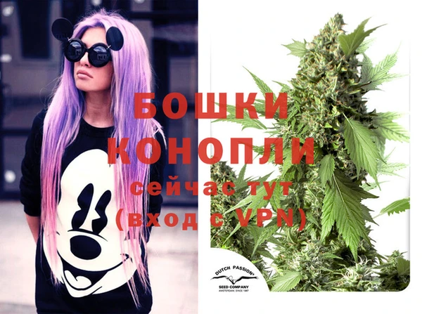 прущий лед Надым