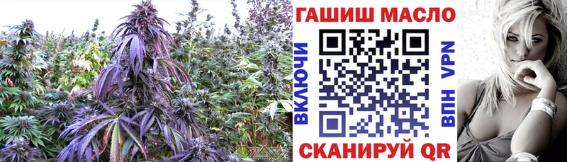 где купить наркоту  Рязань  Дистиллят ТГК гашишное масло 